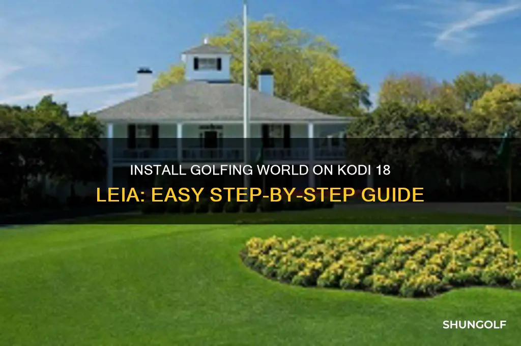 how do you install golfing world on kodi 18 leia