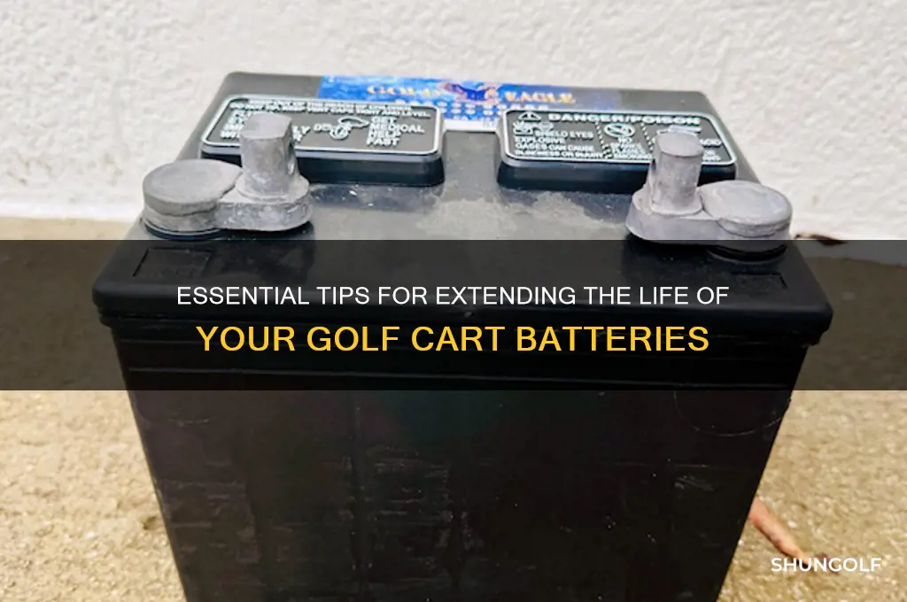 how do you maintain golf cart batteries
