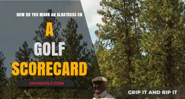 Marking an Albatross: Golf Scorecard Tips for Rare Birdies