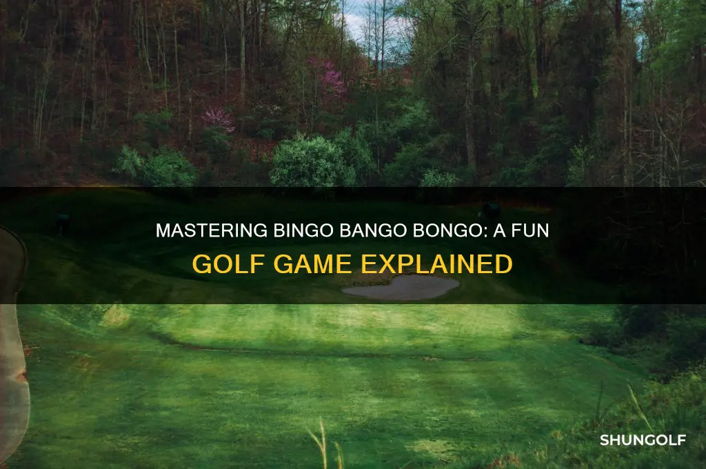 how do you play bingo bango bongo in golf