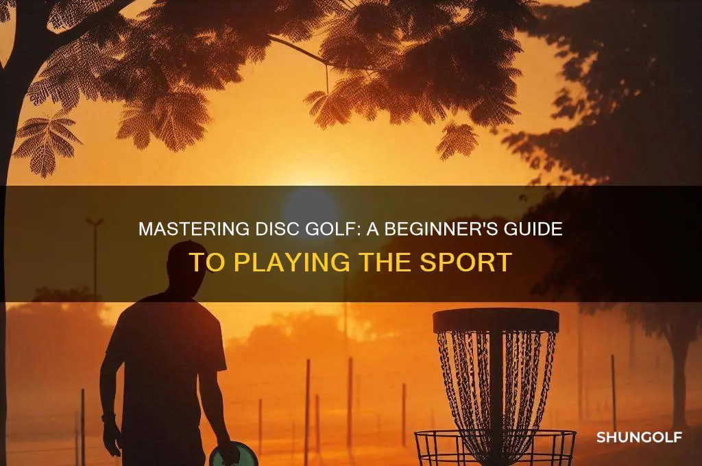 how do you play disk golf