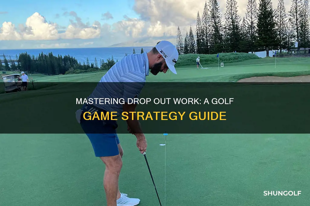 how do you play drop out work in golf game