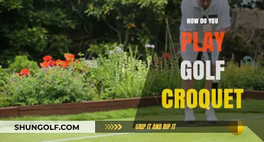 Mastering Golf Croquet: Rules, Techniques, and Winning Strategies Explained