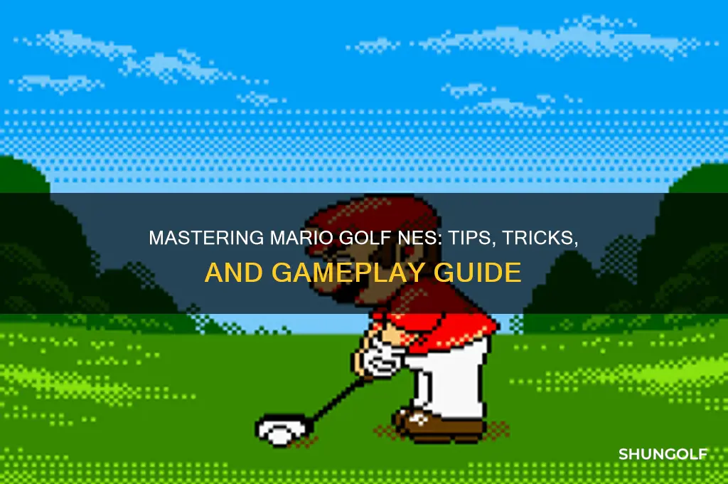 how do you play mario golf nes