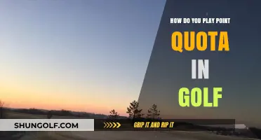 Mastering Point Quota Golf: Rules, Strategy, and Winning Tips