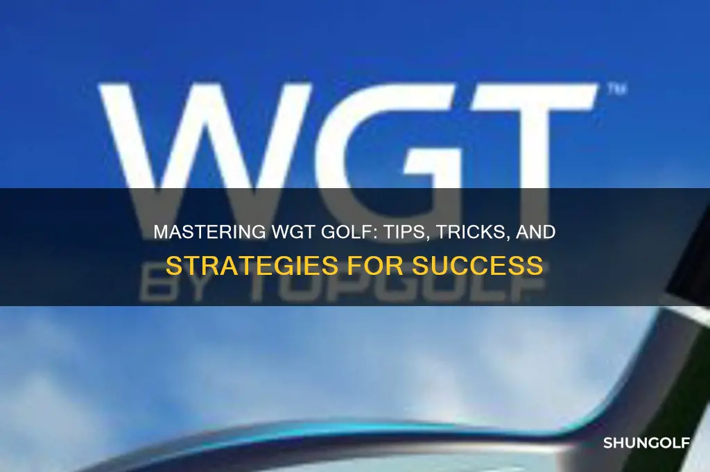 how do you play wgt golf