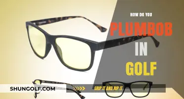 Understanding Plumbob: Golf's Secret to Success