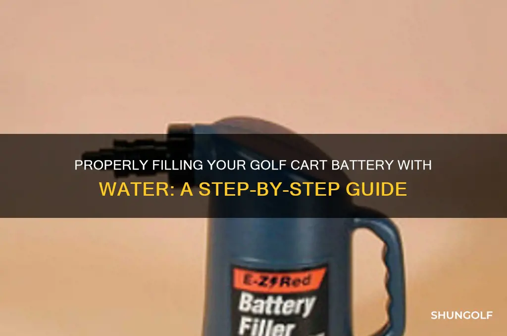 how do you put water in a golf cart battery