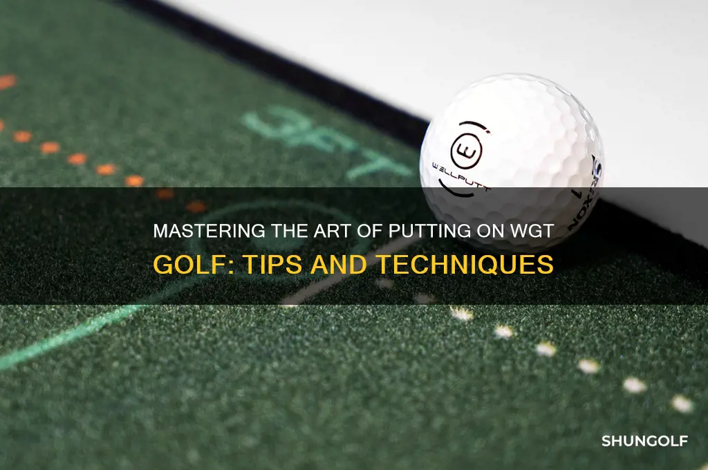how do you putt on wgt golf