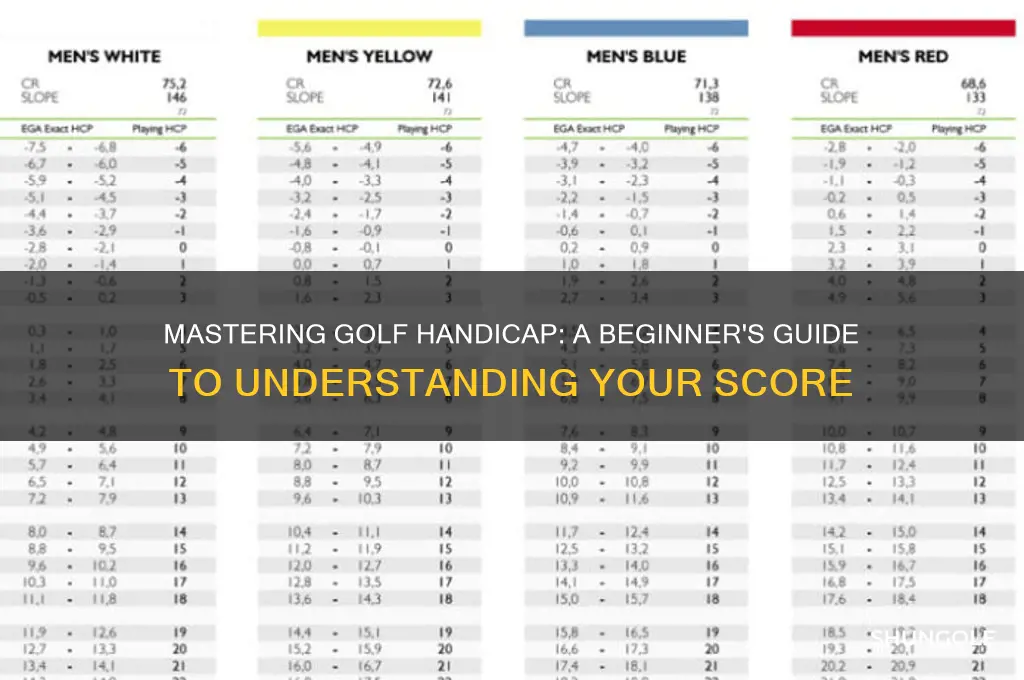 how do you read a golf handicap