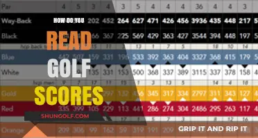 Understanding Golf Scores: A Beginner's Guide to Scoring