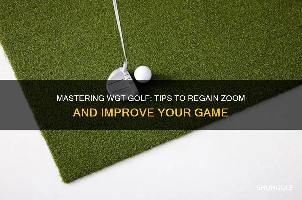 how do you regain zoom on wgt golf