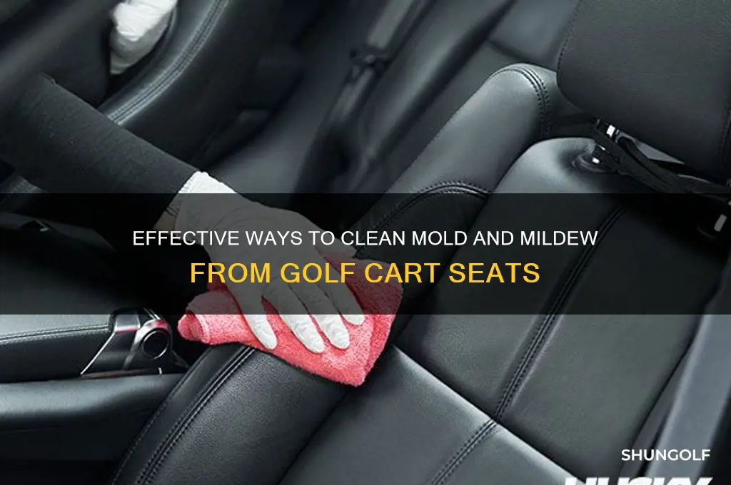 how do you remove mold mildew from golf cart seats