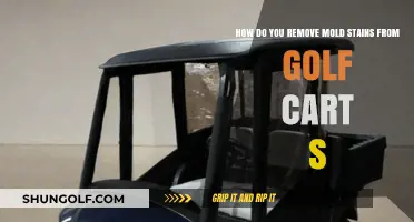 Effective Tips to Remove Mold Stains from Your Golf Cart Seats