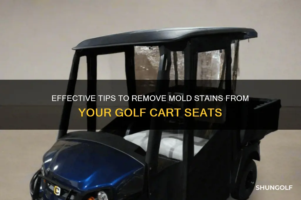 how do you remove mold stains from golf cart s