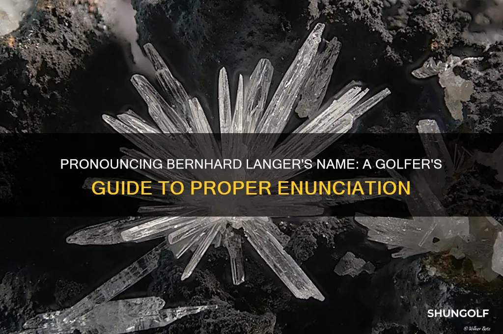 how do you say the golfer named bernhard langer