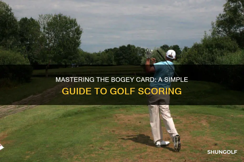 how do you score a bogey card in golf