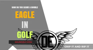Mastering the Rare Double Eagle: A Golfer's Ultimate Achievement Guide