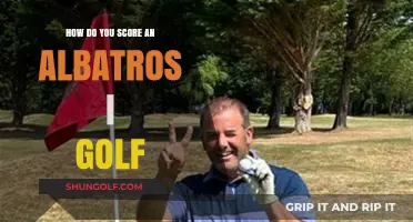 Mastering the Rare Albatross: A Golfer's Guide to Scoring Three-Under-Par