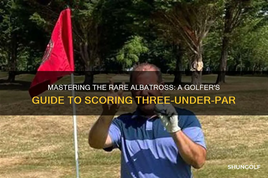 how do you score an albatros i golf