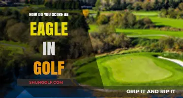 Mastering the Eagle: Strategies to Score Big in Golf