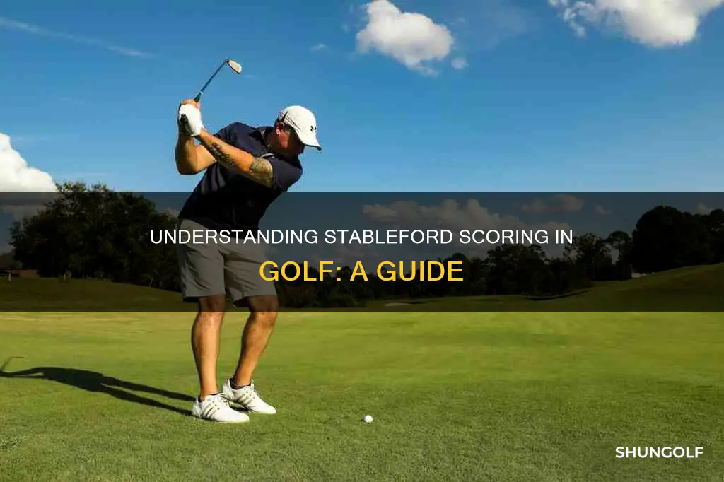 how do you score stableford golf