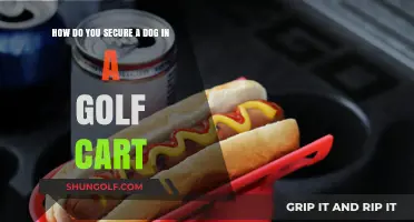 Safely Transporting Your Dog in a Golf Cart: Tips and Tricks