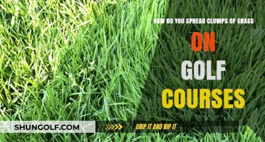 Mastering Grass Clump Spreading: Techniques for Pristine Golf Course Fairways