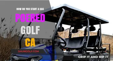Igniting Your Game: A Beginner's Guide to Gas-Powered Golf Carts