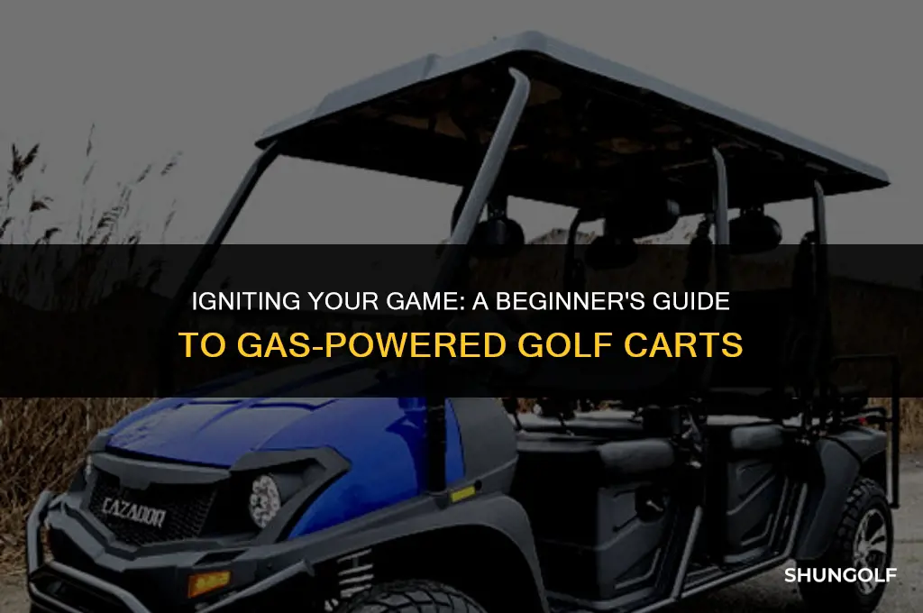 how do you start a gas poered golf ca