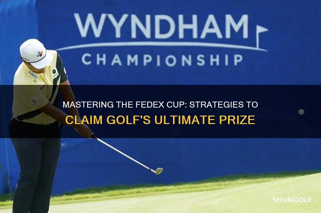 how do you win the fedex cup in golf