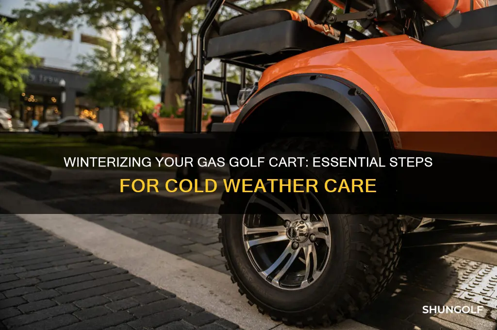 how do you winterize a gas golf cart