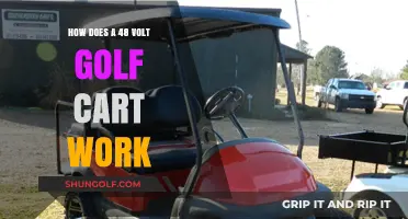 Understanding the Functionality of 48 Volt Golf Cart Systems
