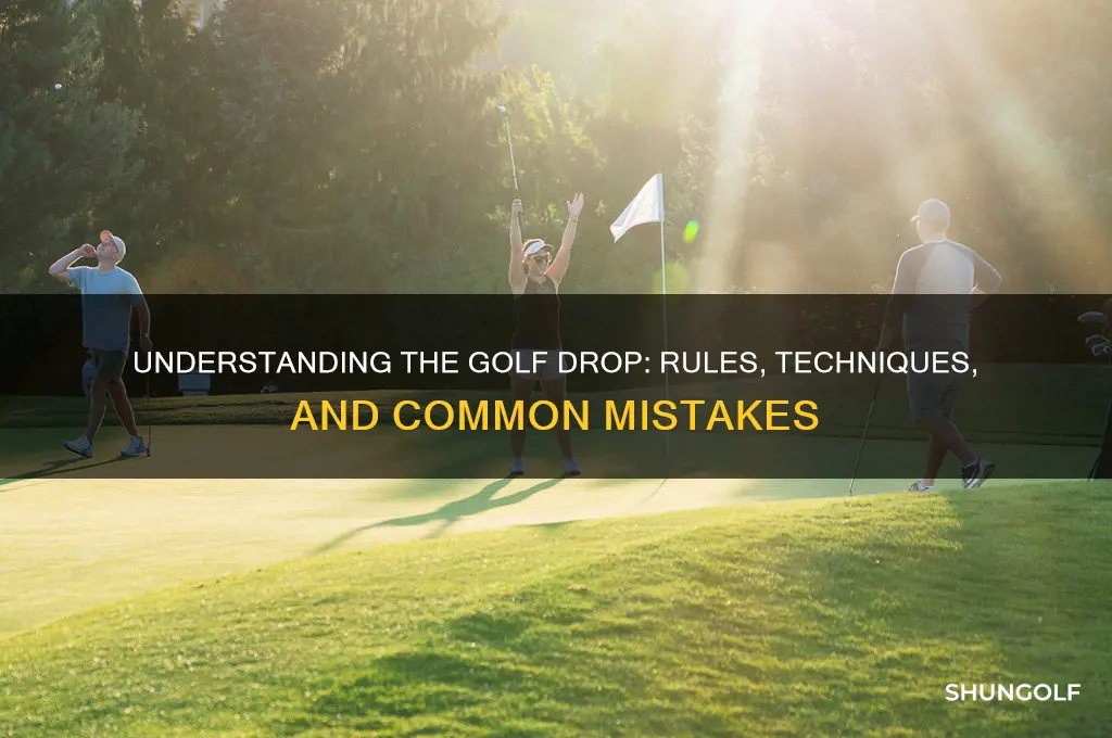 how does a drop work in golf