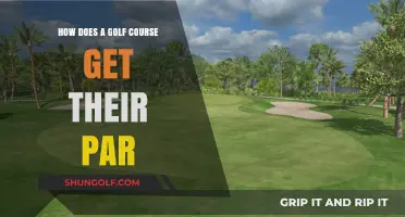 Understanding Par: How Golf Courses Determine Their Standard Scores