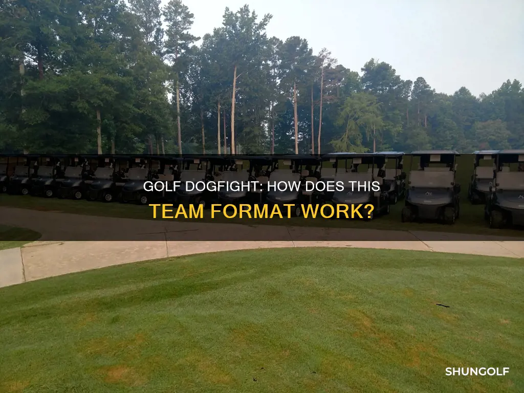 how does a golf dogfight work