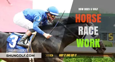 Understanding Golf Horse Race Mechanics: Rules, Gameplay, and Winning Strategies
