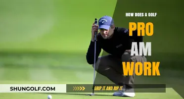 Understanding Golf Pro-Am Tournaments: Format, Rules, and Player Dynamics