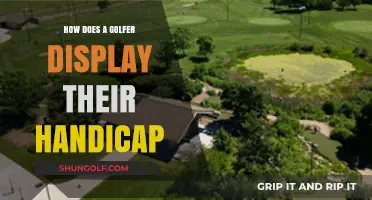Understanding Golf Handicap Display: A Guide for Players and Partners