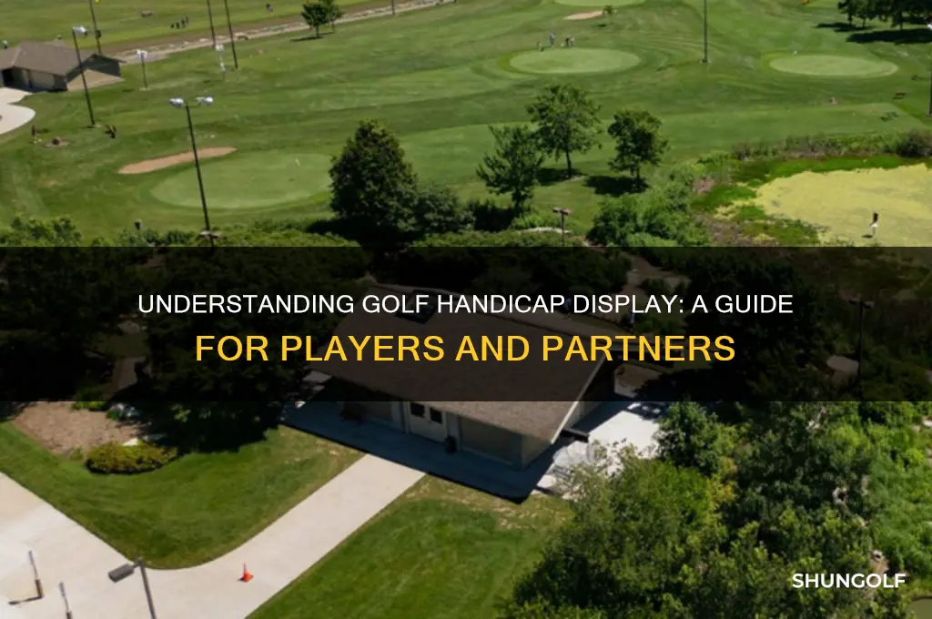 how does a golfer display their handicap