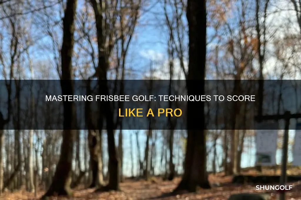 how does a player score in frisbee golf