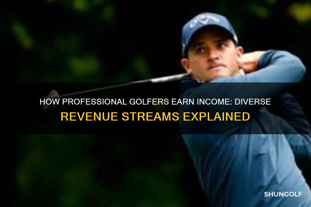 how does a professional golfer generate revenue