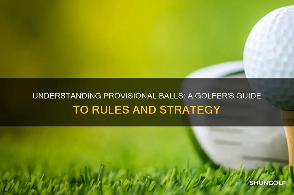 how does a provisional work in golf