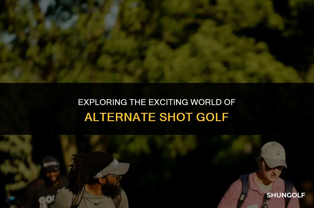 how does alternate shot golf work