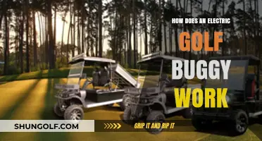 Understanding the Mechanics of Electric Golf Buggies: A Comprehensive Guide