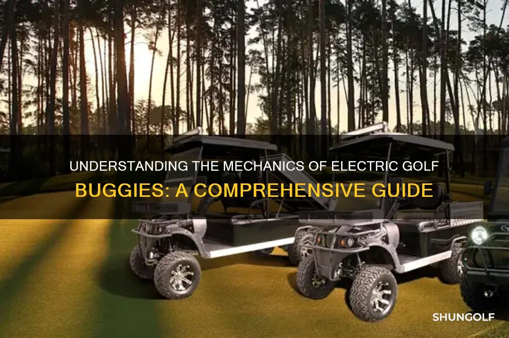 how does an electric golf buggy work