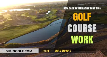 Understanding Golf Course Irrigation Ponds: Function, Benefits, and Maintenance