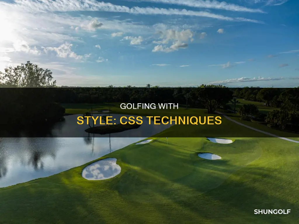 how does css work golf