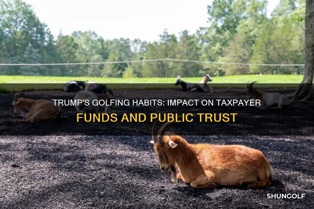 how does donald trumps golfing cut into the taxes