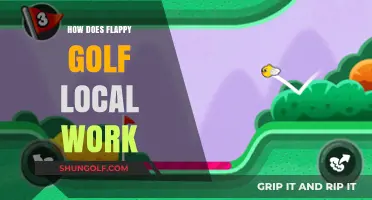 The Basics of Flappy Golf Local